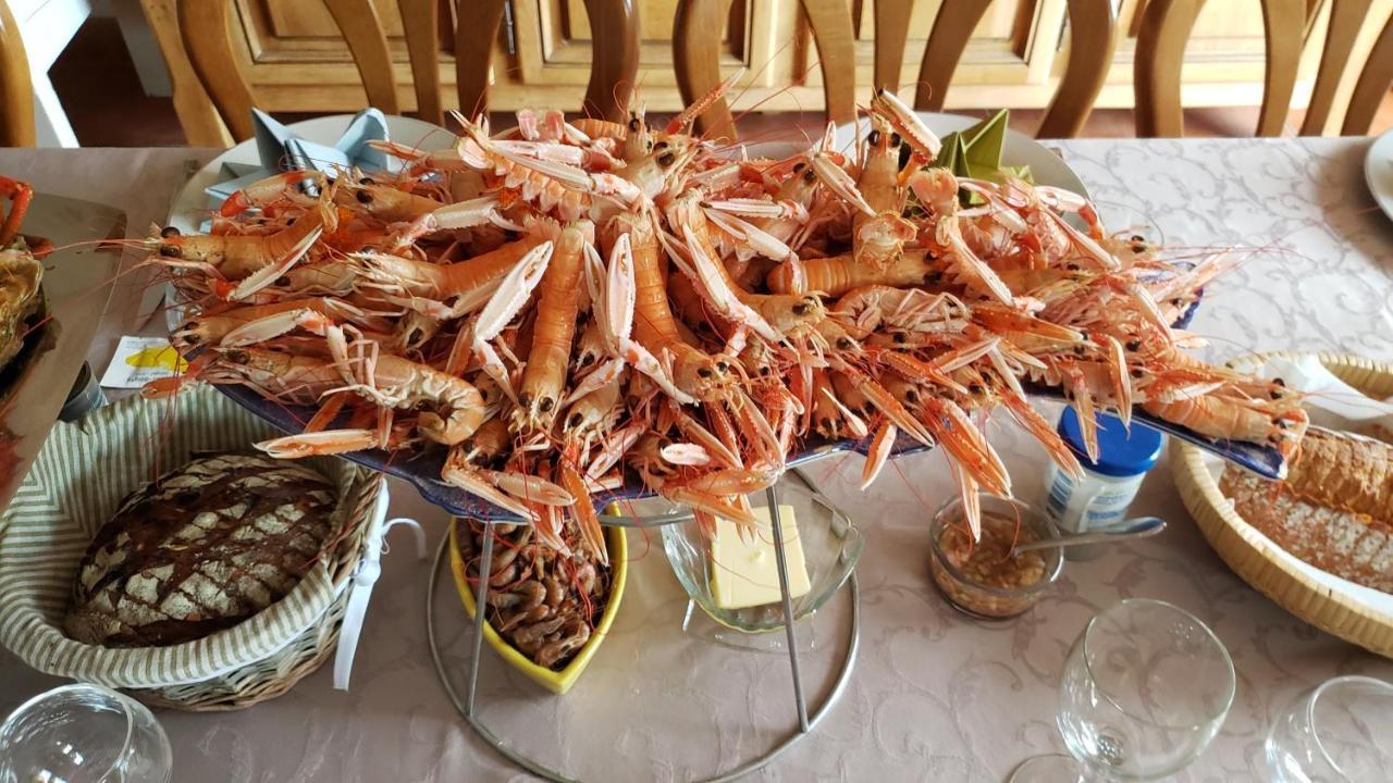 Le Calme Bed & Breakfast Plesse Ngoại thất bức ảnh