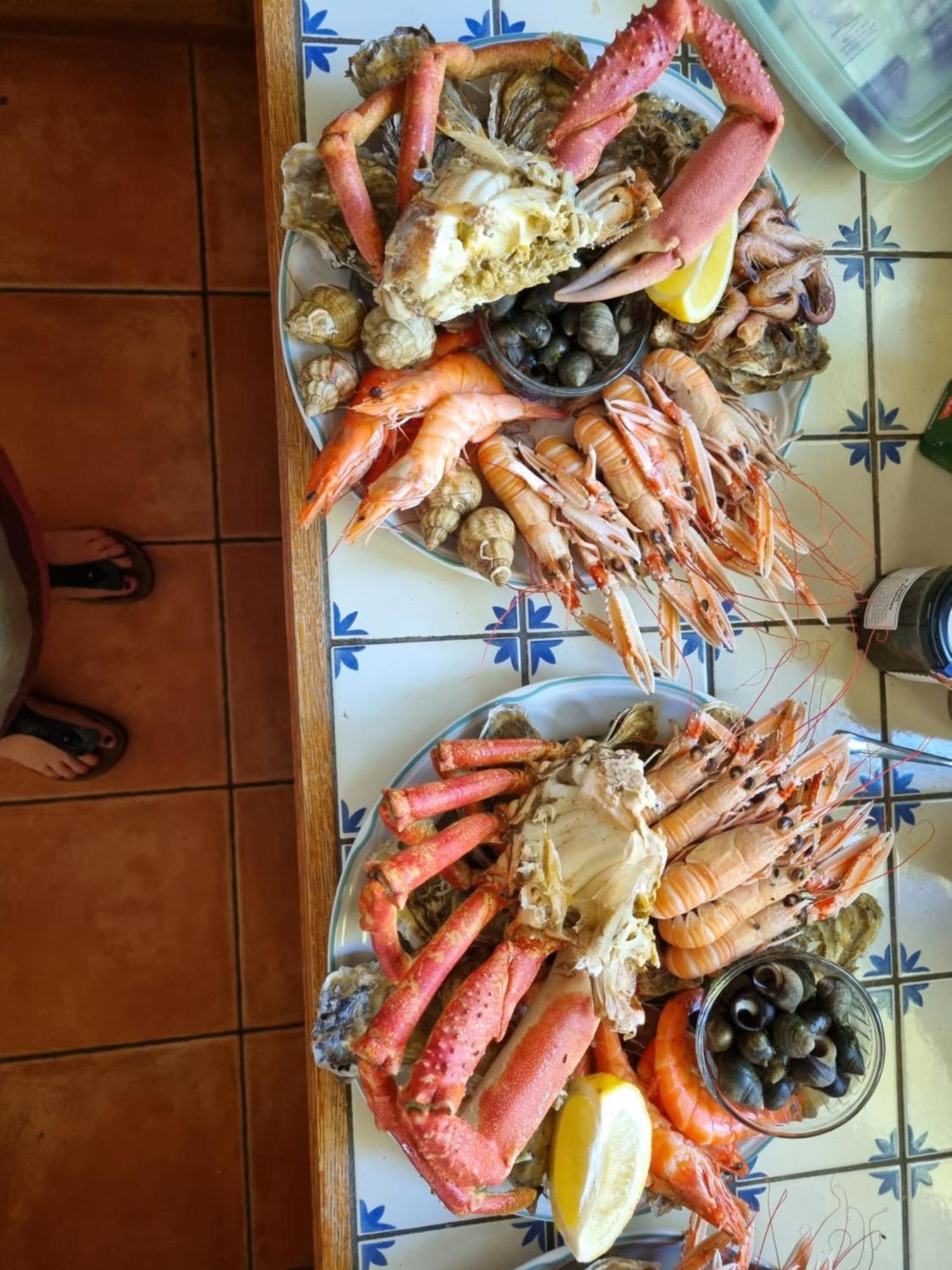 Le Calme Bed & Breakfast Plesse Ngoại thất bức ảnh